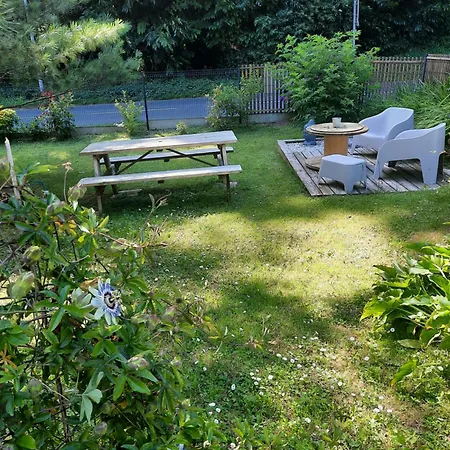 Les Nids Des Falaises