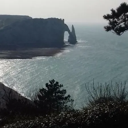 Les Nids Des Falaises