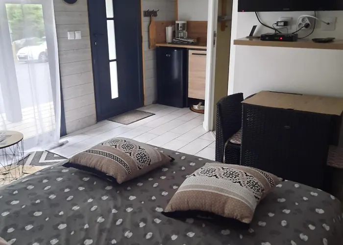 Les Nids Des Falaises *