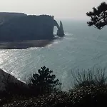 Les Nids Des Falaises