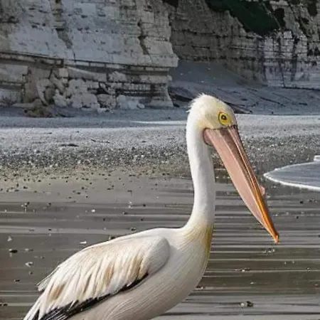Les Nids Des Falaises Prázdninový dům