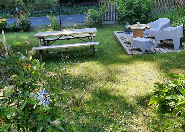 Les Nids Des Falaises