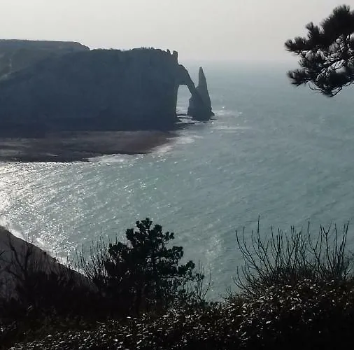 Les Nids Des Falaises